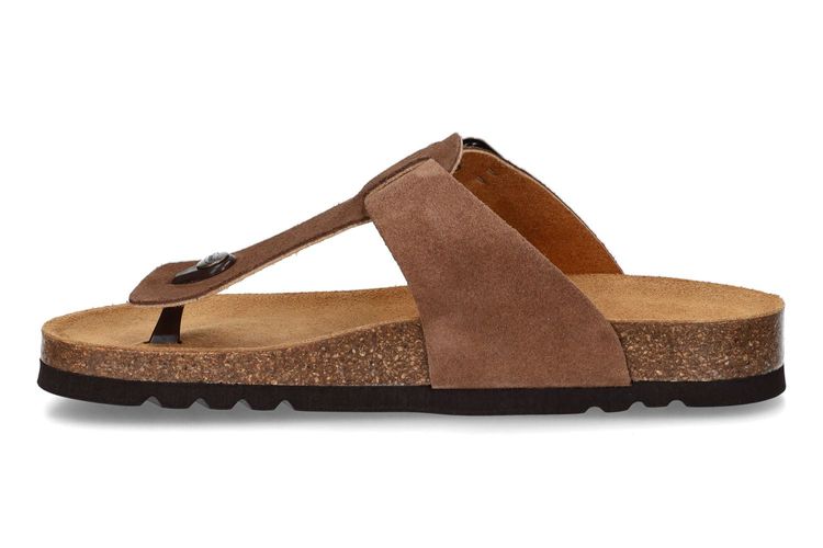 SCHOLL-TBC 2-MARRON-HOMMES-0004