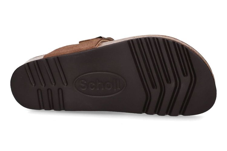 SCHOLL-TBC 2-MARRON-HOMMES-0005