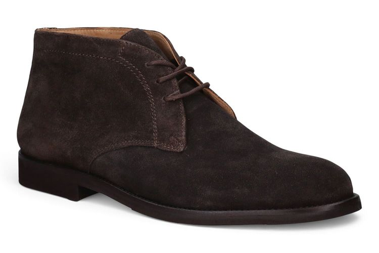 AMBIORIX-LASSO-KASTANJE-MEN-0001