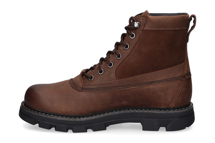 SOREL-LARK-47 A-KASTANJE-MEN-0004