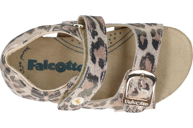 FALCOTTO-BEA-PLATINUM-ENFANTS-0006