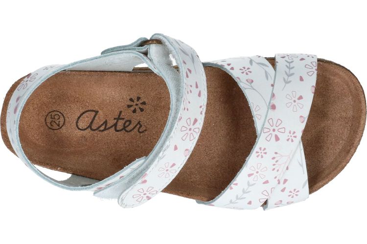 ASTER-BAZIANG-WIT-ENFANTS-0006