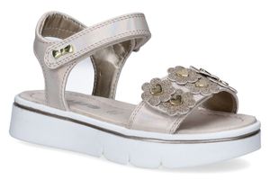 ASSO-AMEL-GOLD-ENFANTS-main.jpg?tr=c-at