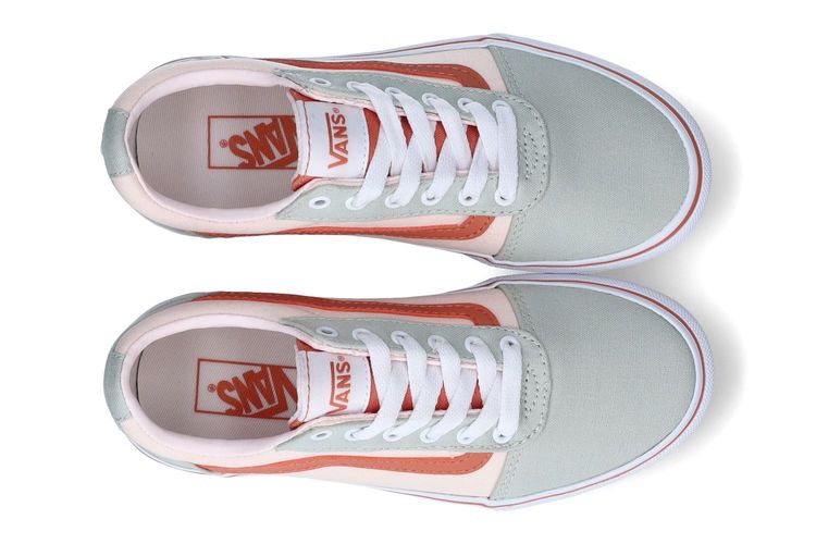 VANS-WARD PLAT1-VEELKLEURIG-0003