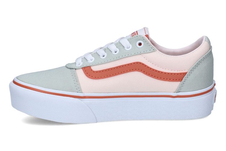VANS-WARD PLAT1-VEELKLEURIG-0004