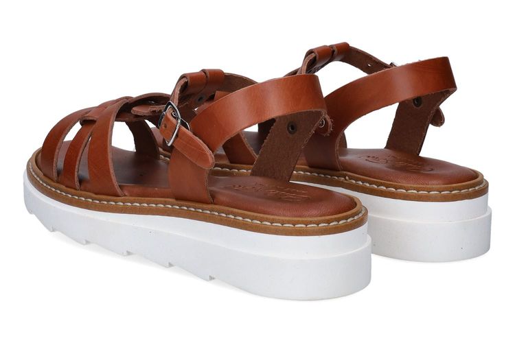 CARLO PERA-PINA-COGNAC-ENFANTS-0002
