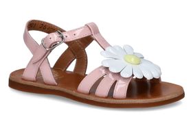 POM D API-PEGGIE-PINK-ENFANTS-0001