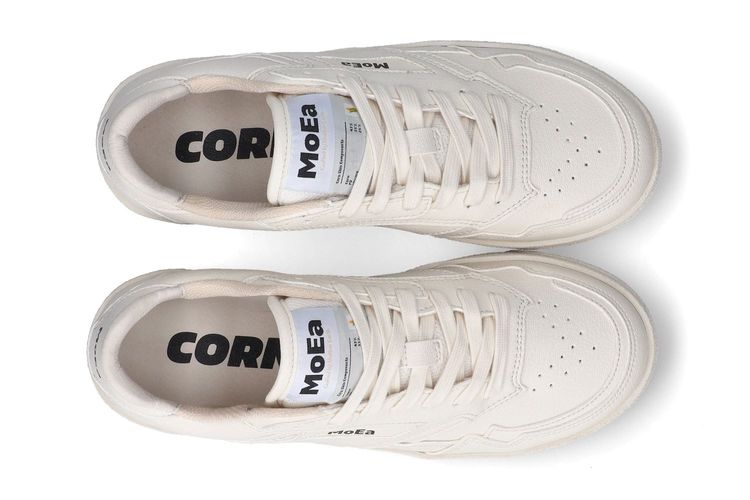 MOEA-GEN9 CORN-BLANC-MIXTE-0003