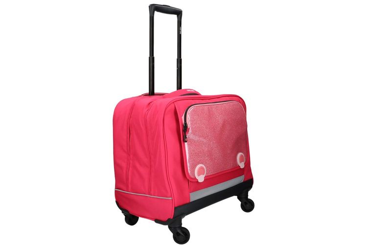 DELSEY-BTS21.1-ROSE-ACCESSOIRES-0002