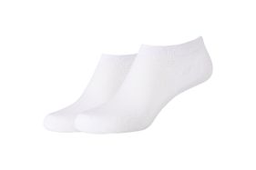 CAMANO-1142004A-WIT-ACCESSOIRES-0001