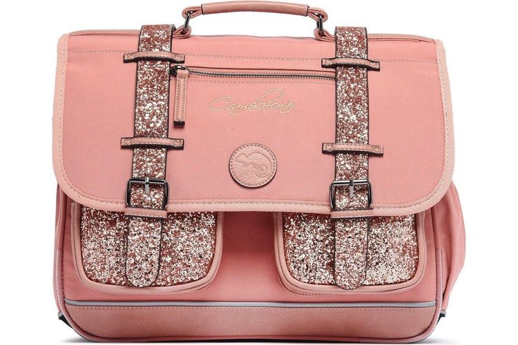 CAMELEON-CA38.1-PINK-ACCESSOIRES-0001