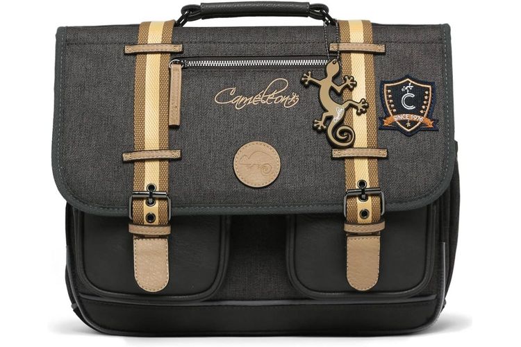 CAMELEON-CA38.5-GRIS-ACCESSOIRES-0001