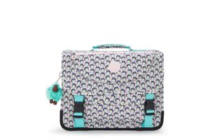 KIPLING-PREPPY1ES3-VEELKLEURIG-ACCESSOIRES-main.jpg?tr=c-at