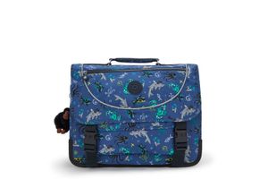 KIPLING-PREPPY1ES6-VEELKLEURIG-ACCESSOIRES-main.jpg?tr=c-at
