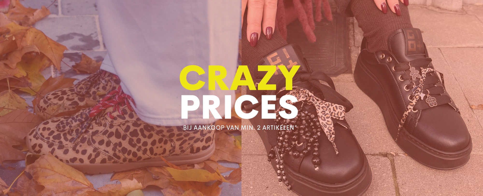 6e7ec51e-b7ba-4140-8875-fe26e9240d67